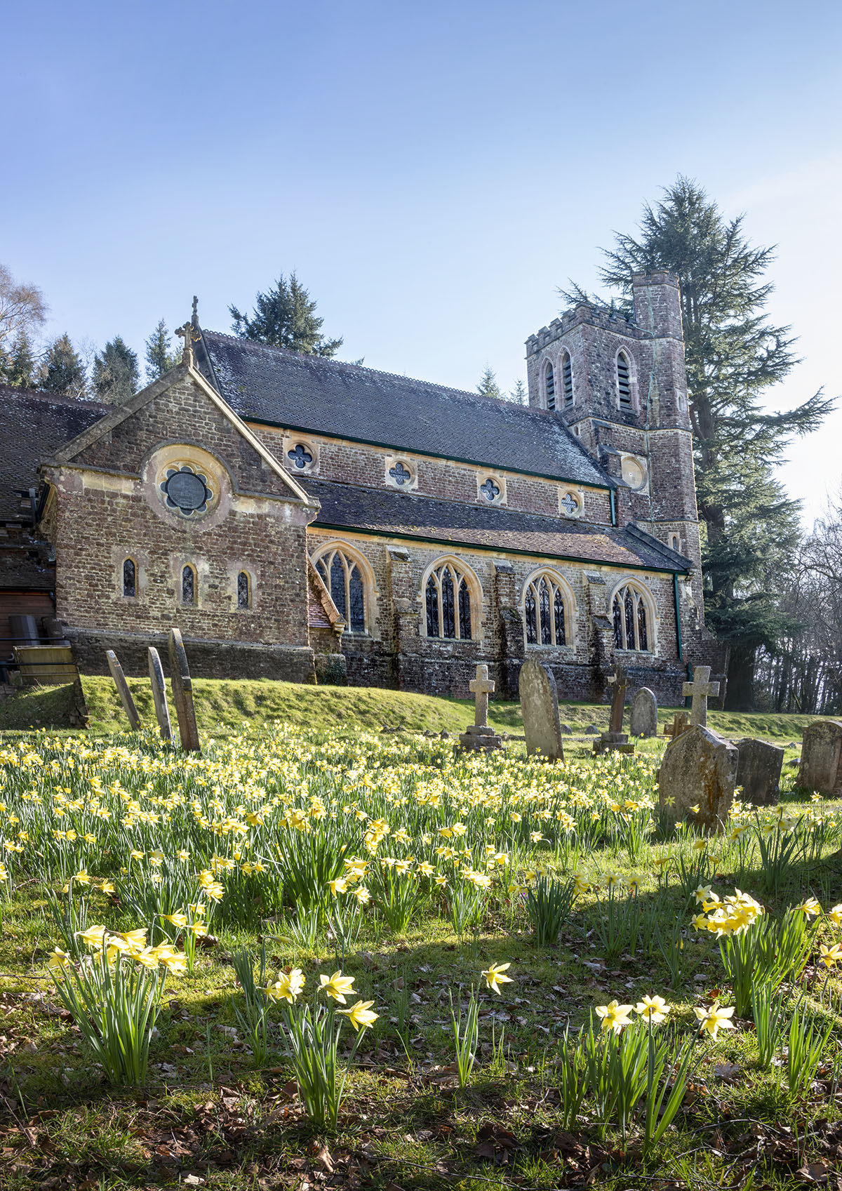 Rotator image unavailable