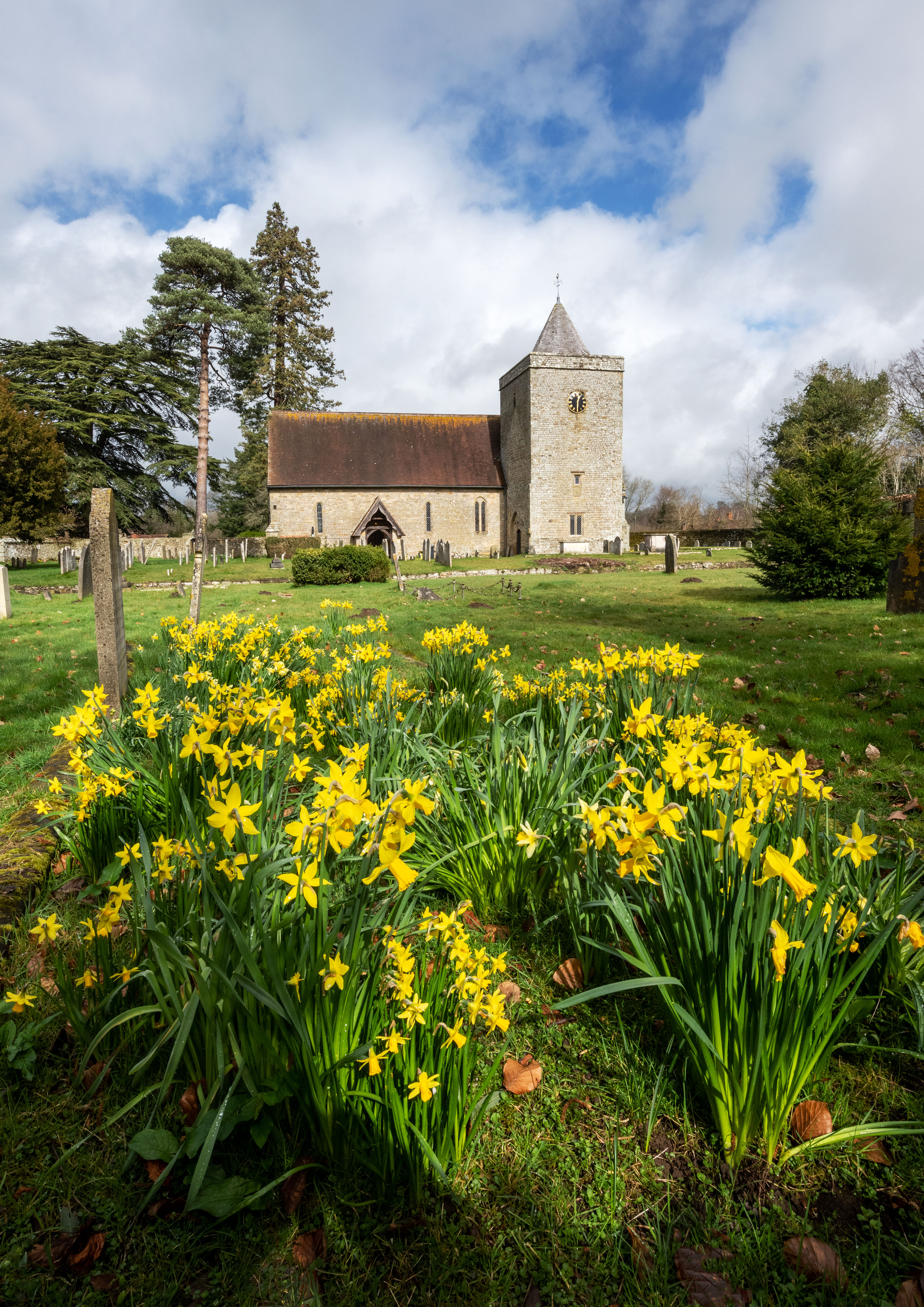 Rotator image unavailable